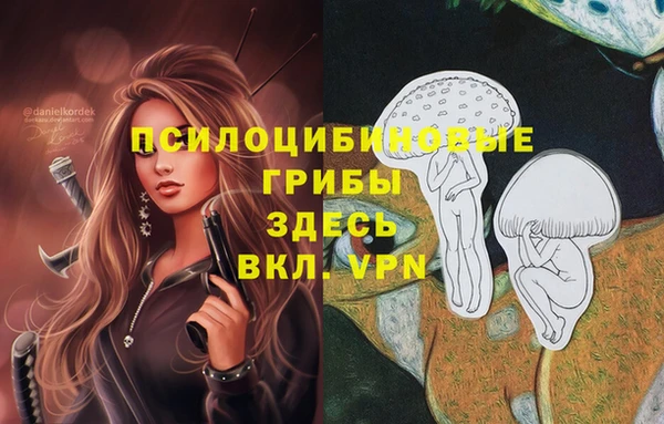 дживик Зерноград