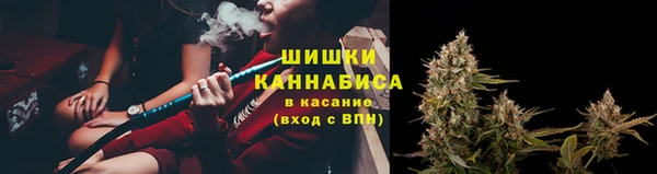 дживик Зерноград