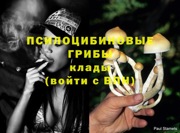 первитин Заволжье